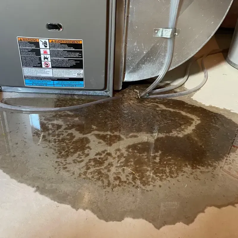 Appliance Leak Cleanup in Lebanon, IN